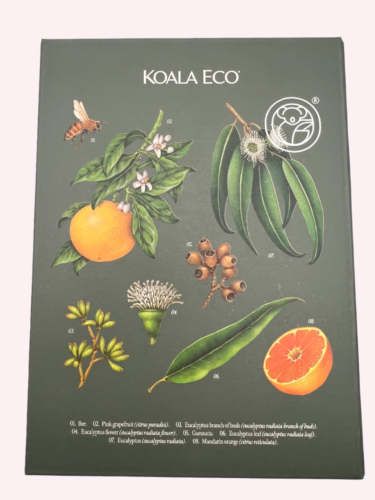 Koala Room Spray